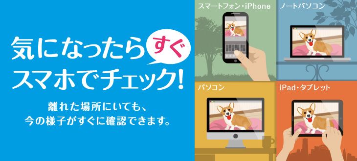 気になったらスマホでチェック!｜スライダー